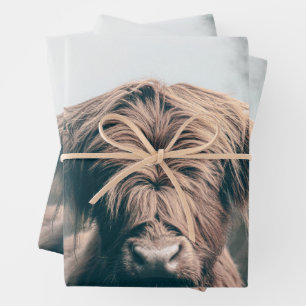 Hochlandkuhportrait Geschenkpapier Set