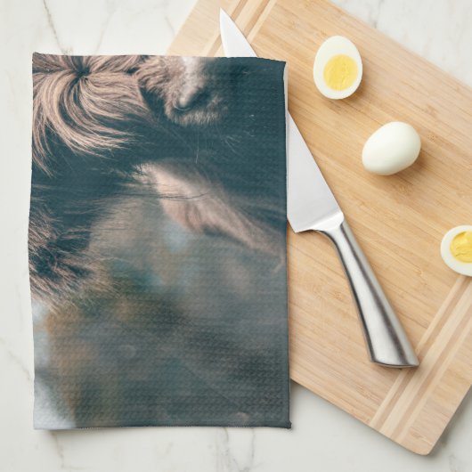 Hochlandkuhportrait Geschirrtuch (Viertel Falte)