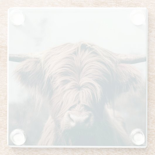 Hochlandkuhportrait Glasuntersetzer (Rückseite)