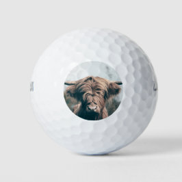 Hochlandkuhportrait Golfball