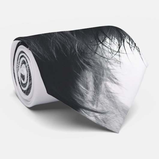 Hochlandkuhportrait Initialmonogramm Schwarz-weiß Krawatte (Gerollt)