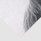 Hochlandkuhportrait Initialmonogramm Schwarz-weiß Seidenpapier (Detail)