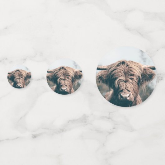 Hochlandkuhportrait Konfetti (Rückseiten)