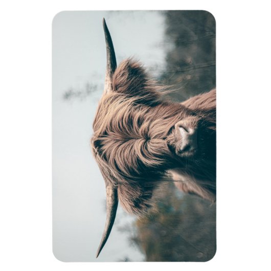 Hochlandkuhportrait Magnet (Vertikal)