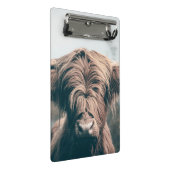 Hochlandkuhportrait Mini Klemmbrett (Schrägansicht)