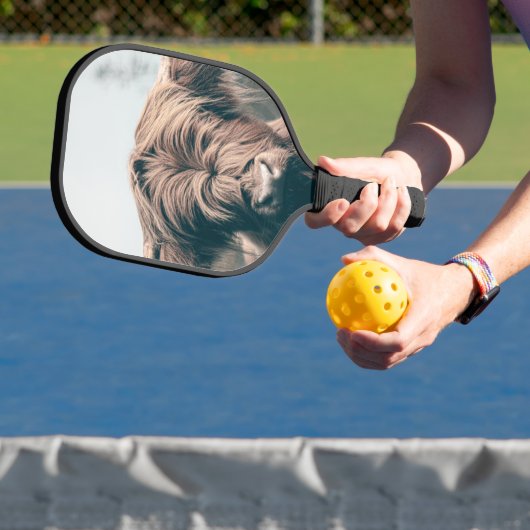 Hochlandkuhportrait Pickleball Schläger (InSitu)