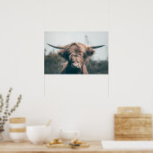 Hochlandkuhportrait Poster (Küche)