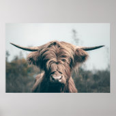Hochlandkuhportrait Poster (Vorne)