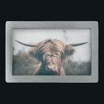 Hochlandkuhportrait Rechteckige Gürtelschnalle<br><div class="desc">Tierporträt Foto von majestätischen Hochlandkuh.</div>