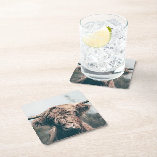 Hochlandkuhportrait Rechteckiger Pappuntersetzer (Vor Ort)