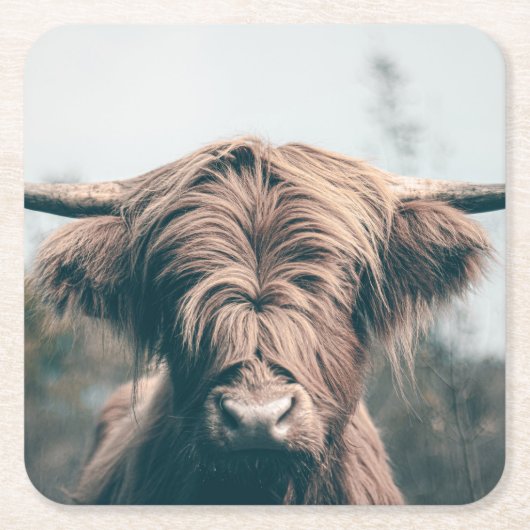 Hochlandkuhportrait Rechteckiger Pappuntersetzer (Vorderseite)