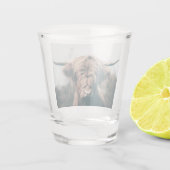 Hochlandkuhportrait Schnapsglas (Rückseite)