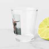 Hochlandkuhportrait Schnapsglas (Rechts)