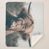 Hochlandkuhportrait Sherpadecke (Vorderseite)