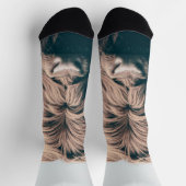 Hochlandkuhportrait Socken (Oben)