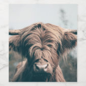 Hochlandkuhportrait Weinetikett (Einzelnes Label)