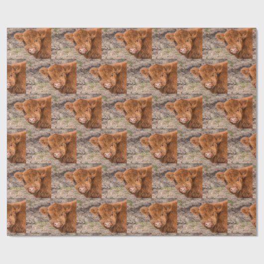 Hochlandkuhverpackung Geschenkpapier (Flach)