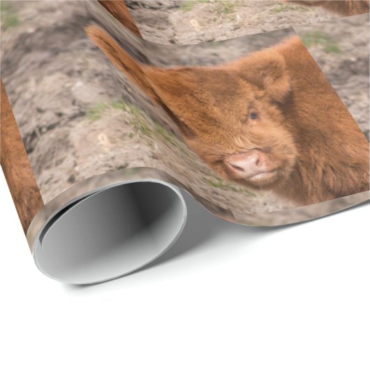 Hochlandkuhverpackung Geschenkpapier (Rolleneckpunkt)
