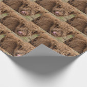 Hochlandkuhverpackung Geschenkpapier (Ecke)