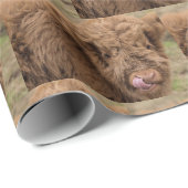 Hochlandkuhverpackung Geschenkpapier (Rolleneckpunkt)