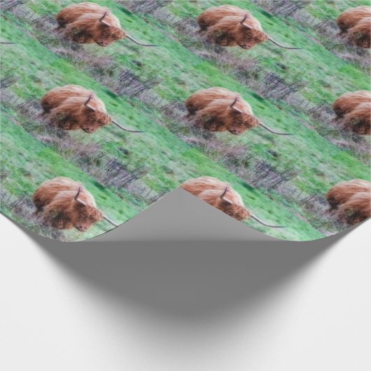 Hochlandkuhverpackung Geschenkpapier (Ecke)