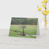 Hochlandpony- und -rabengrußkarte karte (Gelbe Blume)