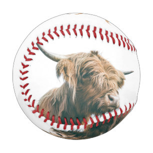 Hochlandportrait individuelle Name Baseball