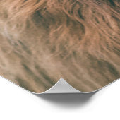 Hochlandportrait individuelle Name Poster (Ecke)