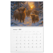 Hochlandrind-Kalender Kalender (Jan 2027)