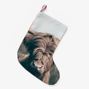 Hochlandrind-Porträt Kleiner Weihnachtsstrumpf