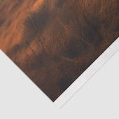 Hochlandskuh in Foggy Landscape Decoupage Papier (Ausschnitt)