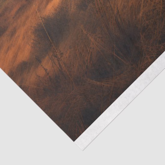 Hochlandskuh in Foggy Landscape Decoupage Papier (Ausschnitt)