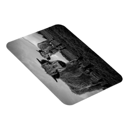 Hochparkkuh Mono Magnet (Rechte Seite)