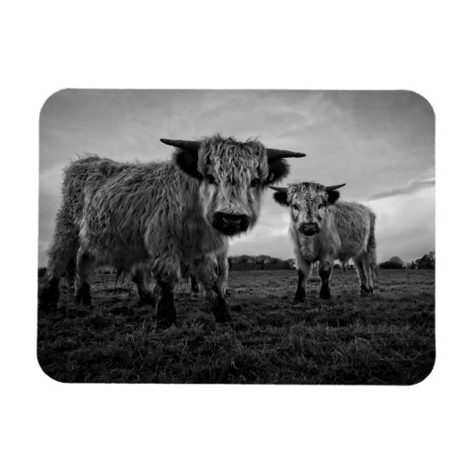 Hochparkkuh Mono Magnet (Horizontal)