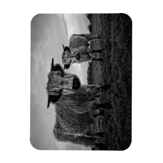 Hochparkkuh Mono Magnet (Vertikal)