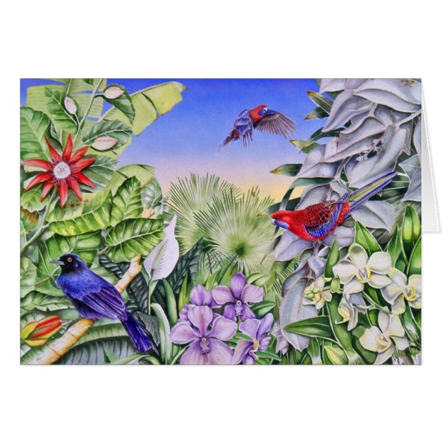 hochrote rosellas (Vorderseite (Horizontal))