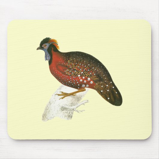 Hochroter gehörnter Fasan Mousepad (Vorne)