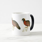 Hochroter gehörnter Fasan Verwandlungstasse (VorderseiteRechts)