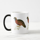 Hochroter gehörnter Fasan Verwandlungstasse (Links)