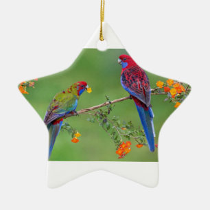 Hochroter Rosella Vogel Keramikornament