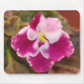 Hochrotes Eis-Usambaraveilchen Mousepad (Vorne)