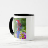 Hochrotes Rosella u. Hintergrund der Orchideen Tasse (Vorderseite Links)
