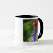 Hochrotes Rosella u. Hintergrund der Orchideen Tasse (VorderseiteRechts)