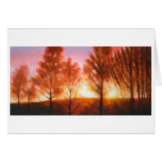 Hochsommer-Sonnenuntergang