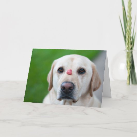 Höchste Geduld Feiertagskarte (Vorderseite)