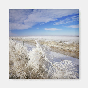 Höchste Mäntel, Wulst und Fencelin in der Nähe Magnet