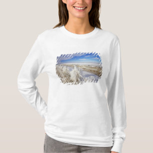 Höchste Mäntel, Wulst und Fencelin in der Nähe T-Shirt