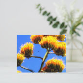 Höchste Postkarte (Stehend Vorderseite)