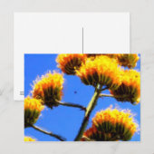 Höchste Postkarte (Vorne/Hinten)