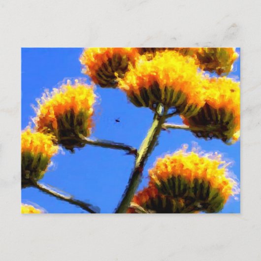 Höchste Postkarte (Vorderseite)
